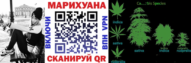 Конопля Amnesia  Краснознаменск 